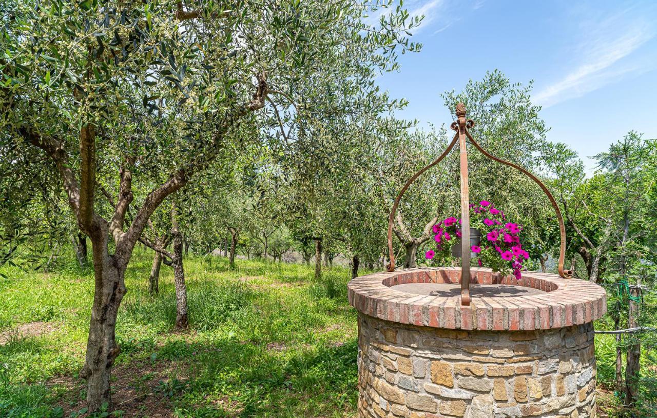 Laureana Cilento Residence Villa Rosi מראה חיצוני תמונה
